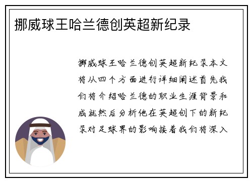 挪威球王哈兰德创英超新纪录